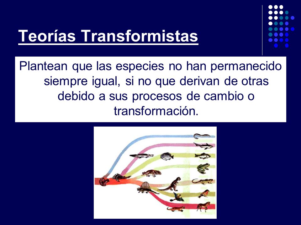 definicion de transformismo biologia